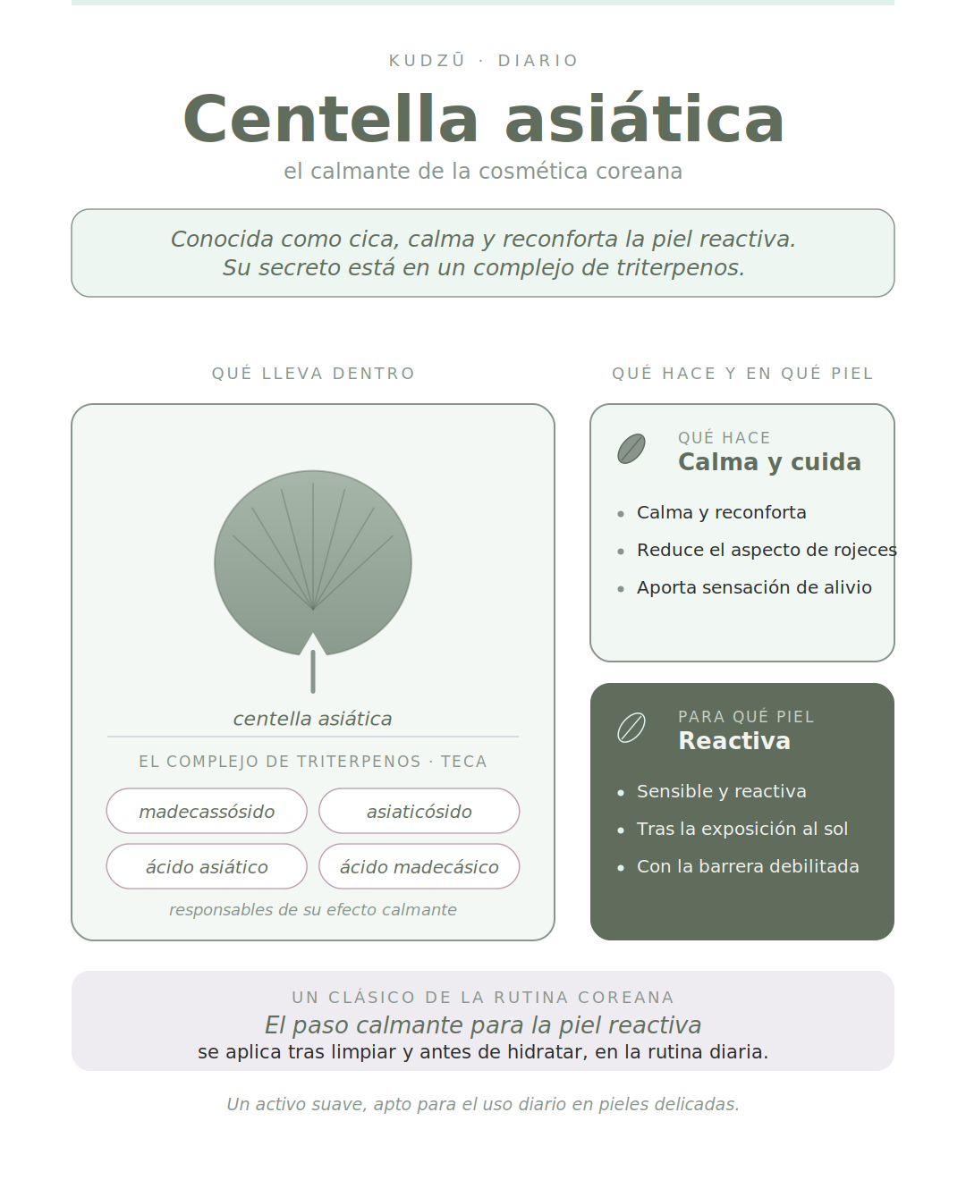 Centella asiática para qué sirve | KUDZŪ