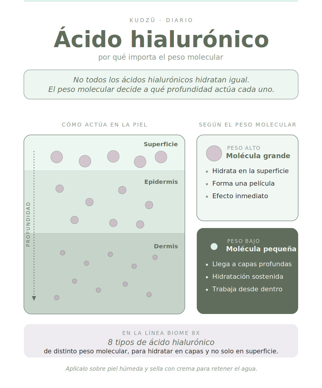 Cómo usar un sérum de ácido hialurónico - KUDZŪ