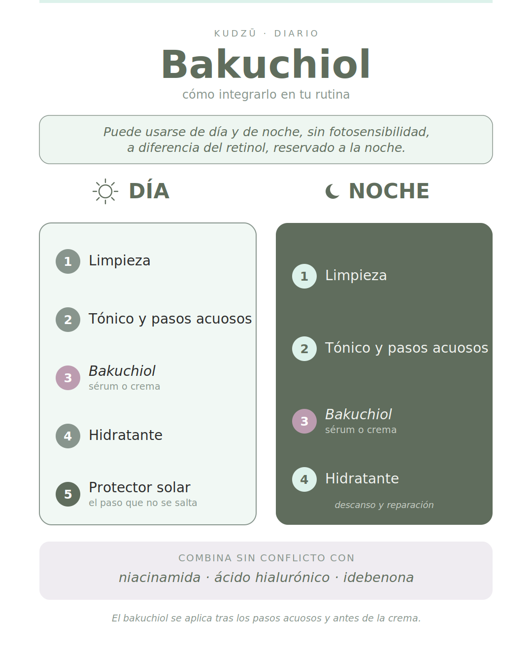 Cómo y cuándo usar el bakuchiol - KUDZŪ